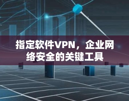 指定软件VPN，企业网络安全的关键工具