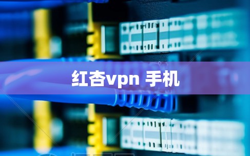 红杏vpn 手机